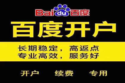 专业SEM托管：企业广告投放的明智之选